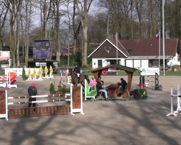 Reitturnier Klein Roscharden 2023