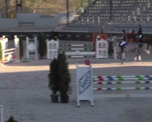 Reitturnier Aachen 2023