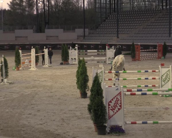 Reitturnier Aachen 2023