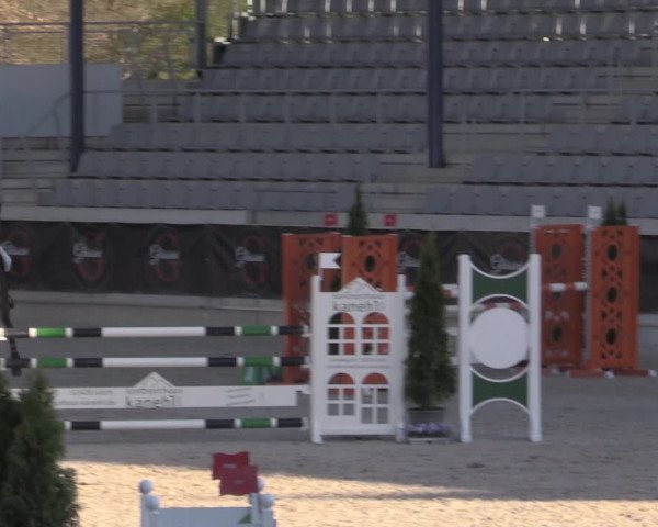 Reitturnier Aachen 2023