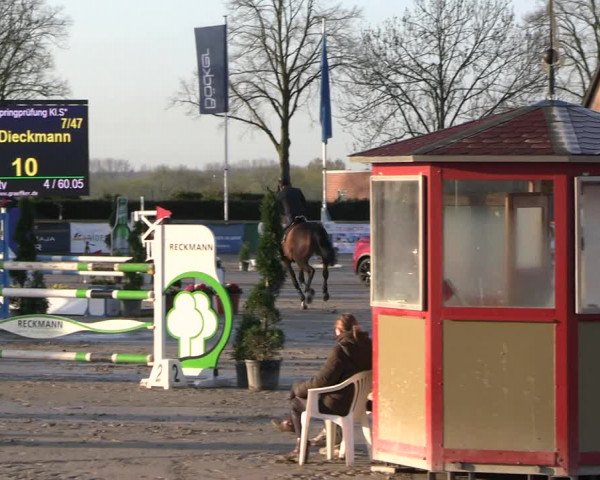 Reitturnier Werne-Lenklar 2023