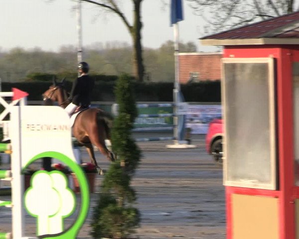 Reitturnier Werne-Lenklar 2023