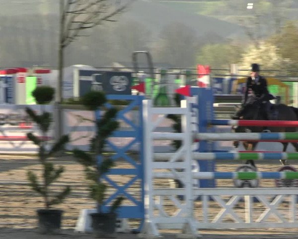 Reitturnier Werne-Lenklar 2023