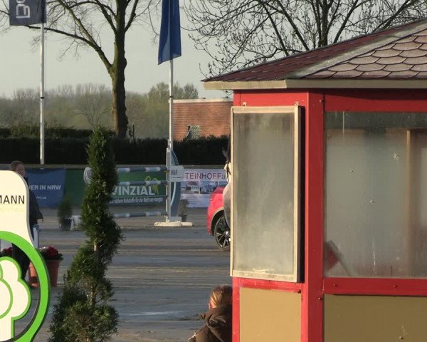 Reitturnier Werne-Lenklar 2023