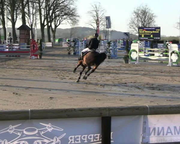 Reitturnier Werne-Lenklar 2023