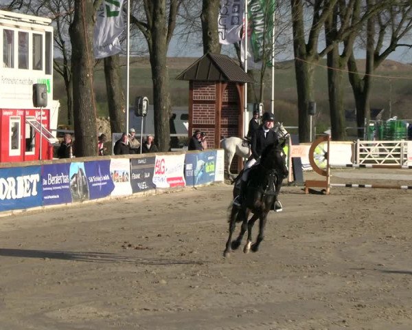 Reitturnier Werne-Lenklar 2023