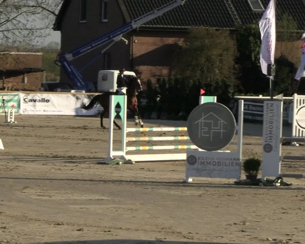 Reitturnier Werne-Lenklar 2023