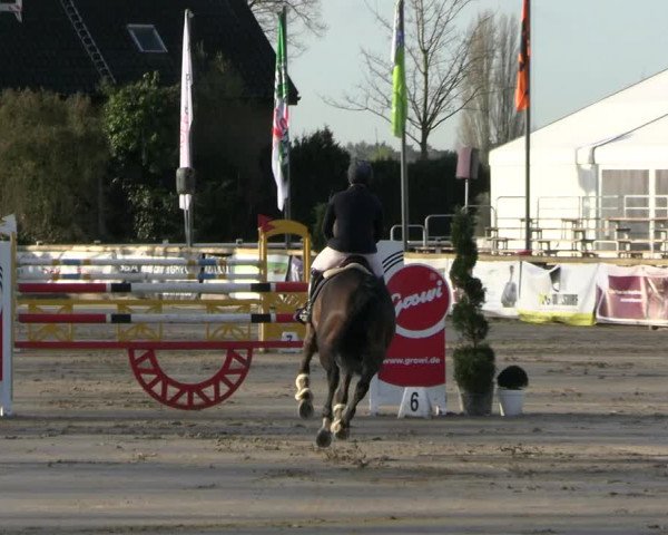 Reitturnier Werne-Lenklar 2023