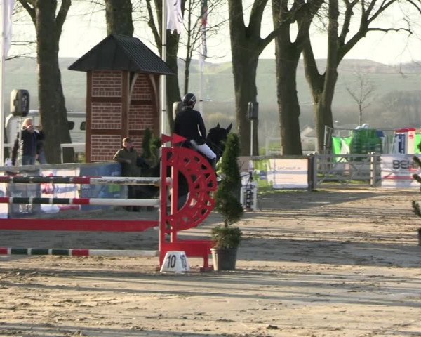 Reitturnier Werne-Lenklar 2023