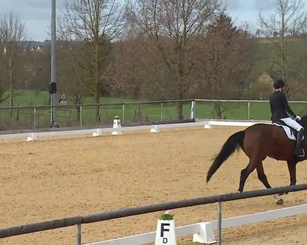 Reitturnier Altentrüdingen/Mfr. 2023