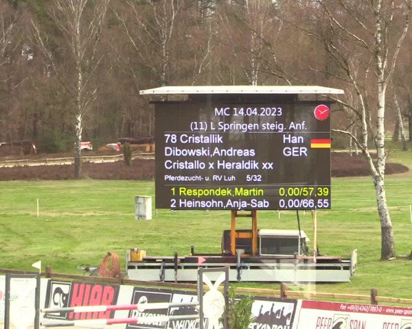 Reitturnier Westergellersen 2023