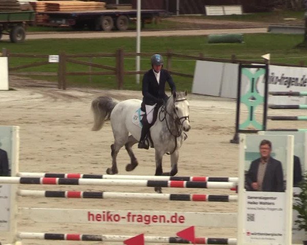 Reitturnier Westergellersen 2023