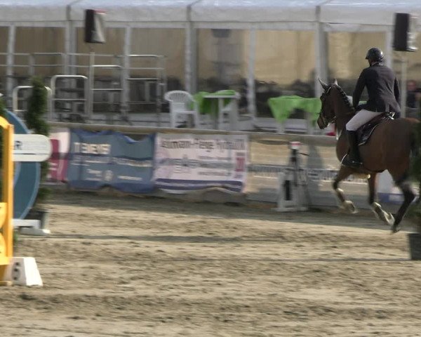 Reitturnier Werne-Lenklar 2023
