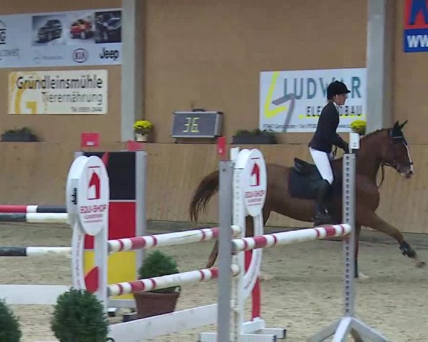 Reitturnier Grafenrheinfeld/Ufr. 2021
