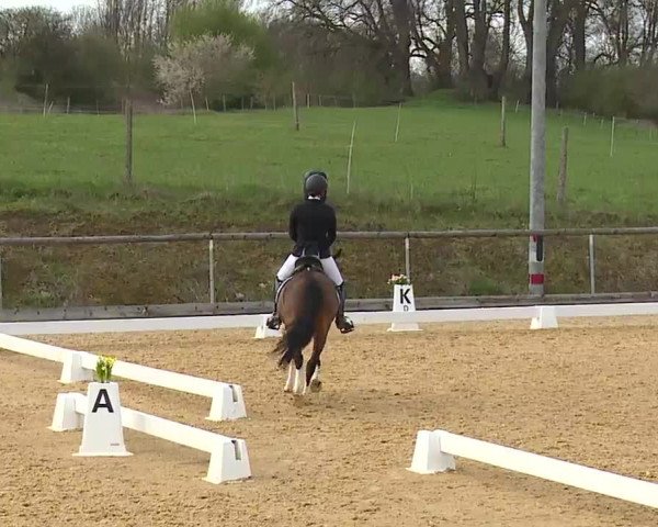 Reitturnier Altentrüdingen/Mfr. 2023