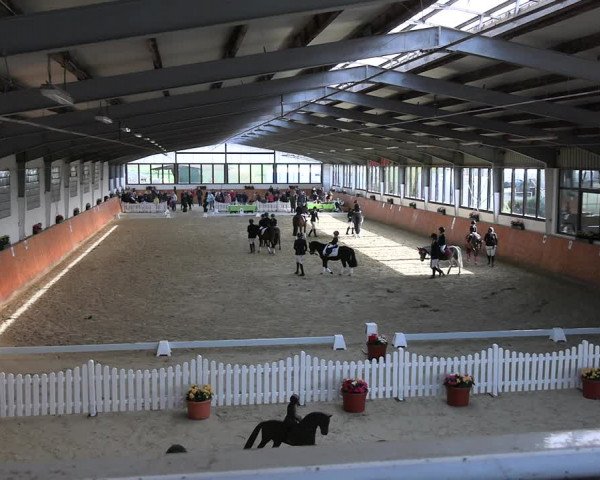 Reitturnier Werne-Lenklar 2023