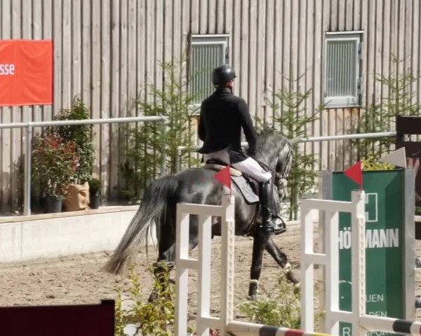 Reitturnier Herrenberg 2023