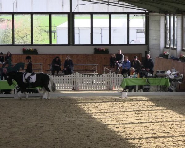 Reitturnier Werne-Lenklar 2023
