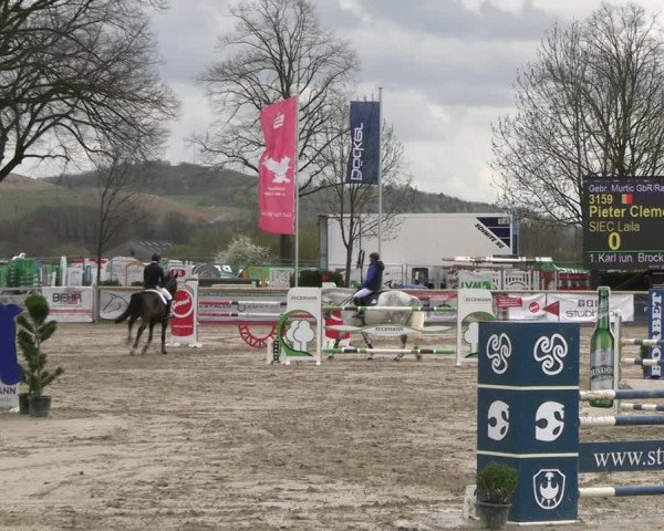 Reitturnier Werne-Lenklar 2023