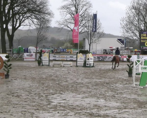 Reitturnier Werne-Lenklar 2023
