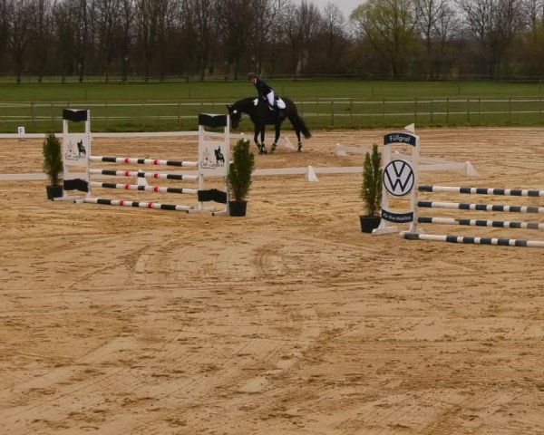Reitturnier Wutzetz 2023