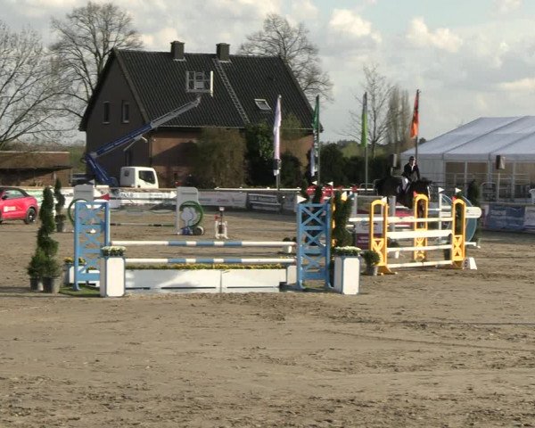 Reitturnier Werne-Lenklar 2023