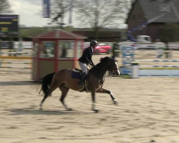 Reitturnier Werne-Lenklar 2023