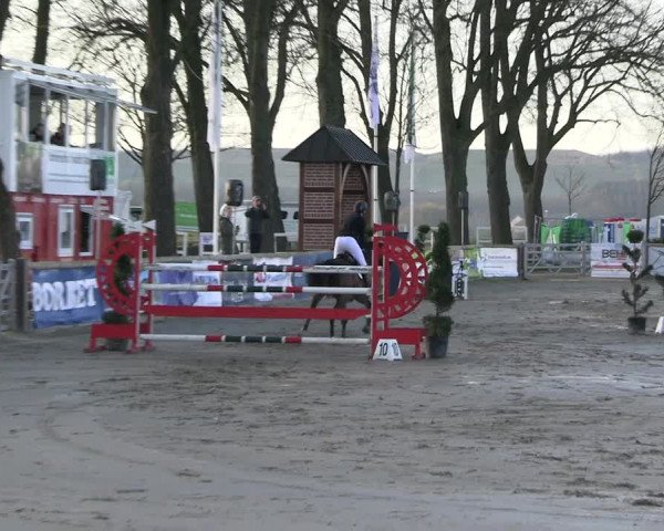 Reitturnier Werne-Lenklar 2023