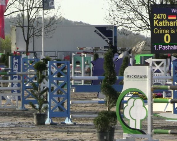 Reitturnier Werne-Lenklar 2023