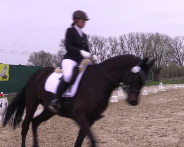 Reitturnier Wutzetz 2023