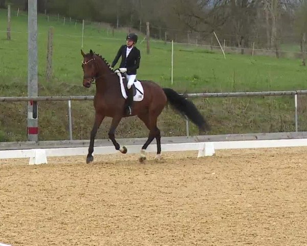 Reitturnier Altentrüdingen/Mfr. 2023