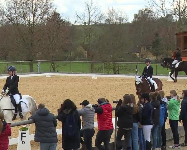 Reitturnier Altentrüdingen/Mfr. 2023