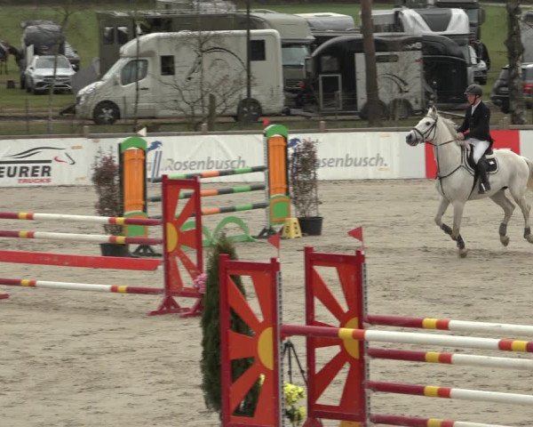 Reitturnier Westergellersen 2023