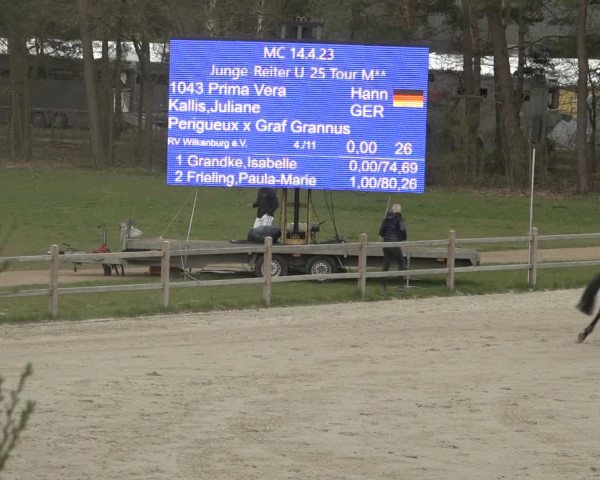 Reitturnier Westergellersen 2023