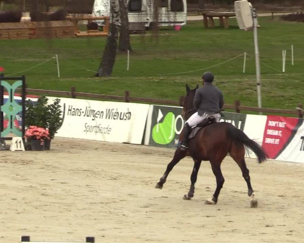 Reitturnier Westergellersen 2023
