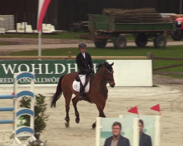 Reitturnier Westergellersen 2023