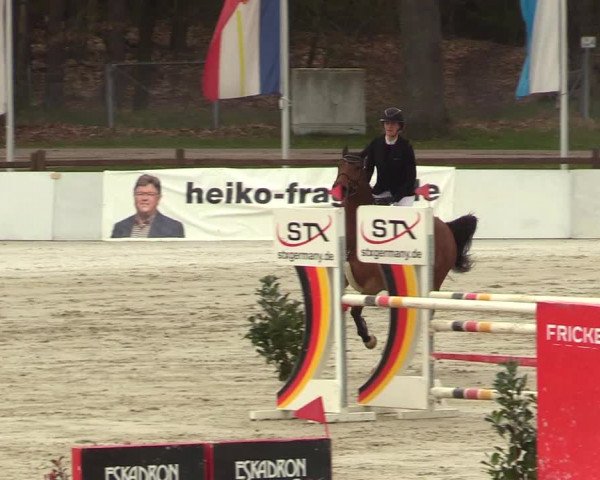 Reitturnier Westergellersen 2023
