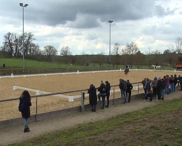 Reitturnier Altentrüdingen/Mfr. 2023