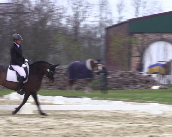 Reitturnier Wutzetz 2023