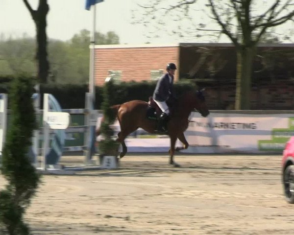 Reitturnier Werne-Lenklar 2023