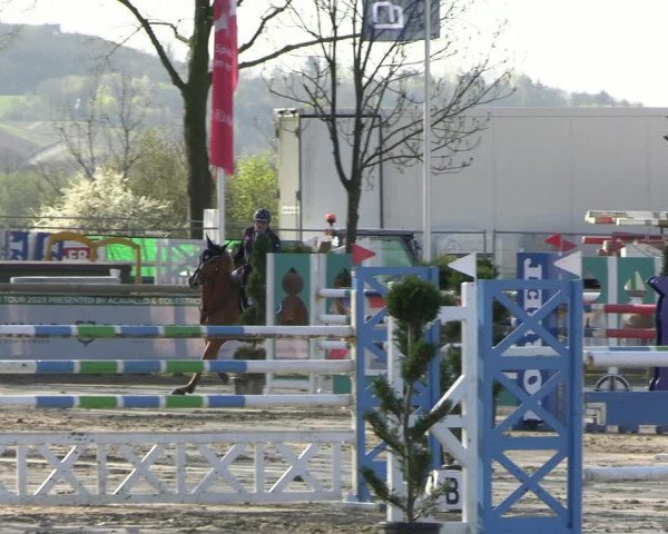 Reitturnier Werne-Lenklar 2023