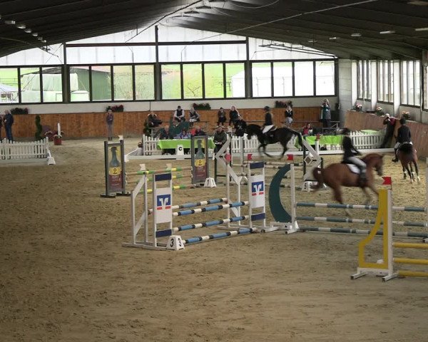 Reitturnier Werne-Lenklar 2023