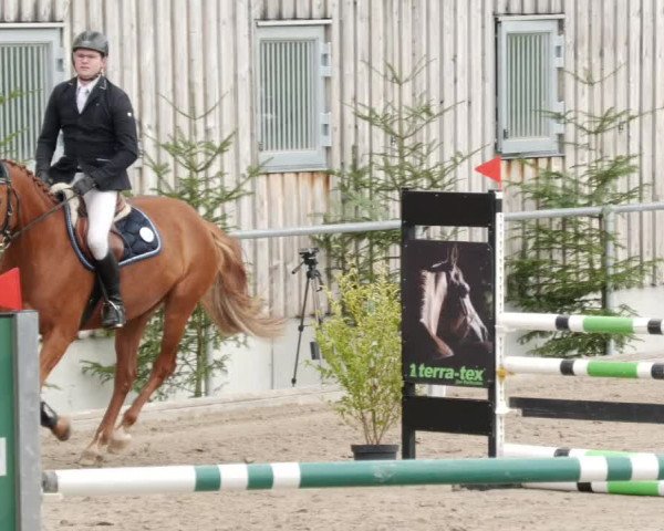 Reitturnier Herrenberg 2023