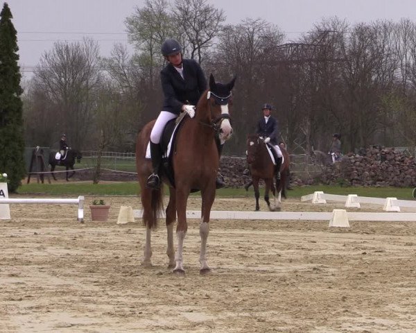 Reitturnier Wutzetz 2023