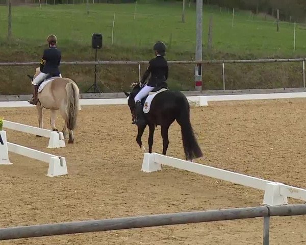 Reitturnier Altentrüdingen/Mfr. 2023