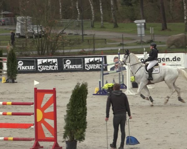 Reitturnier Westergellersen 2023