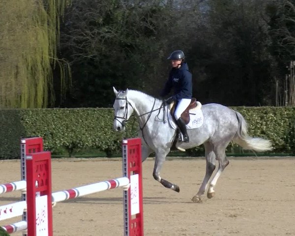 Video of Idem des Tourelles