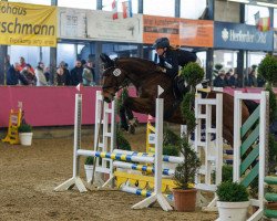 horse Liridona (Oldenburg show jumper, 2012, from Lord Argentinus)