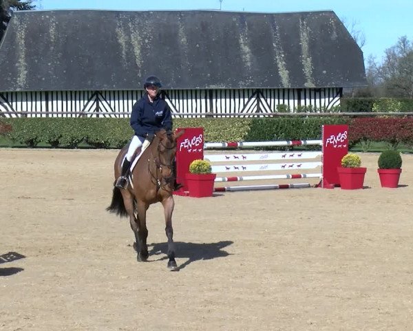 Video of Isabella du Ry