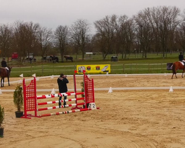 Reitturnier Wutzetz 2023